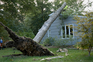 storm damage